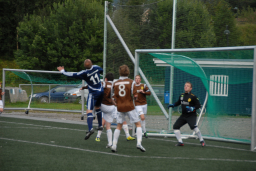 vvileidsvЖg2012 042